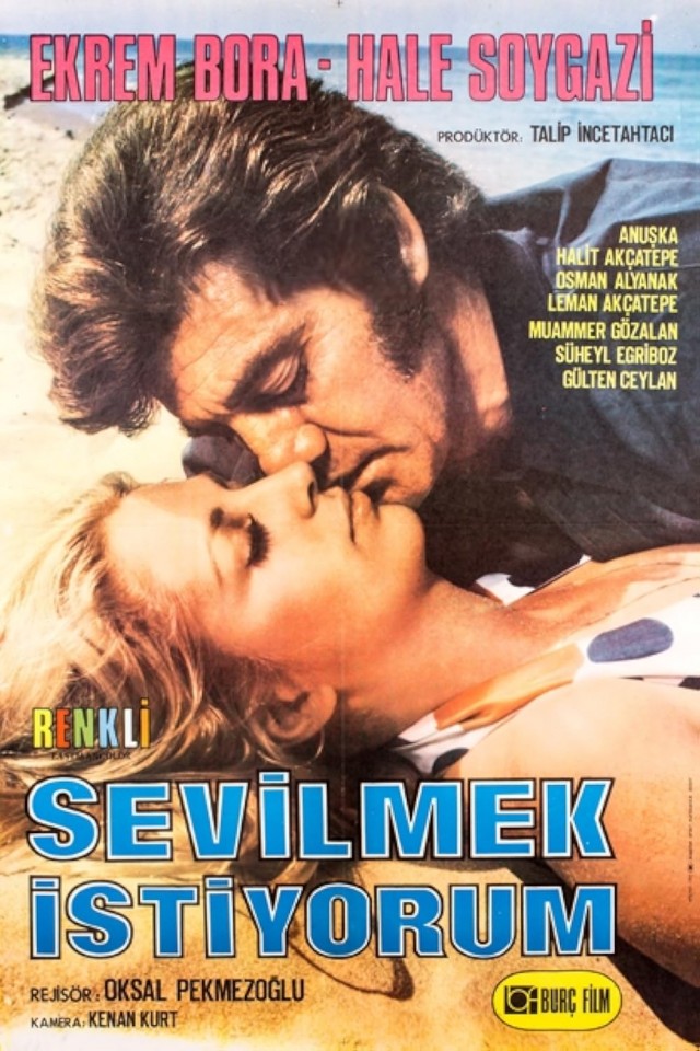 Sevilmek istiyorum (1973) afişi