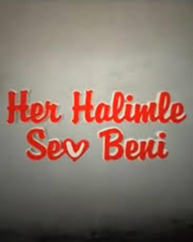 Her Halimle Sev Beni (2008) afişi