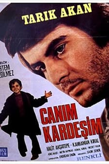 Canım Kardeşim (1973) afişi