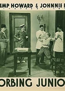 Absorbing Junior (1936) afişi