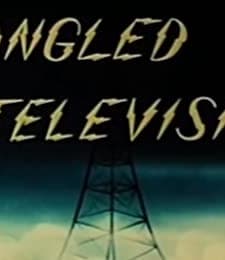 Tangled Television (1940) afişi