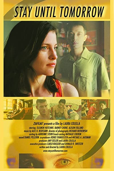 Stay Until Tomorrow (2004) afişi