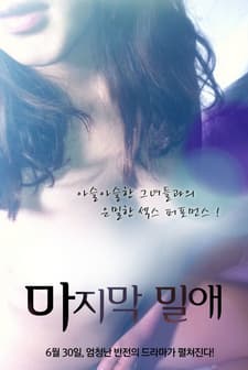 The Last Liaison (2011) afişi