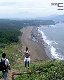 The Woman From The Olle Road (2011) afişi