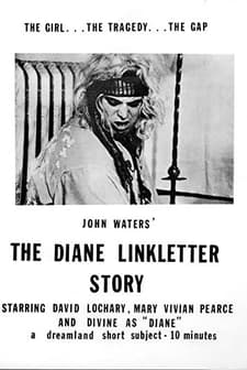 The Diane Linkletter Story (1970) afişi