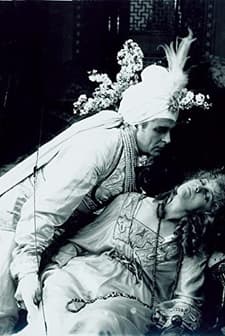 Maharadjahens Yndlingshustru ıı (1919) afişi