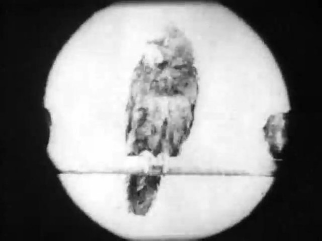 Grandpa's Reading Glass (1902) afişi