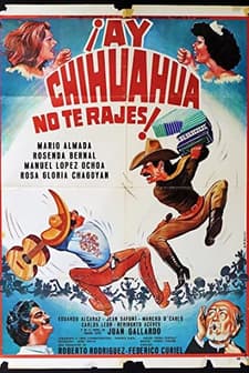 Ay Chihuahua No Te Rajes! (1980) afişi