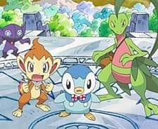 Pokemon Mystery Dungeon: The Final Adventure Through Time And Darkness (2009) afişi