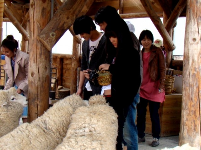 Kim Bum Ile Dünya Tarihi Fotoğrafı