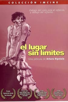 El Lugar Sin Límites (1978) afişi