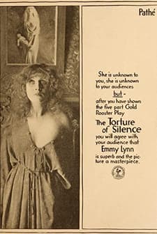 Mater Dolorosa (1917) afişi