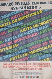 Ave Sin Nido (1971) afişi