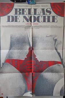 Bellas De Noche (1975) afişi