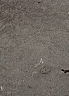 Antonijevo Razbijeno Ogledalo (1957) afişi