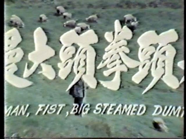 Wild Bunch Of Kung Fu Fotoğrafı