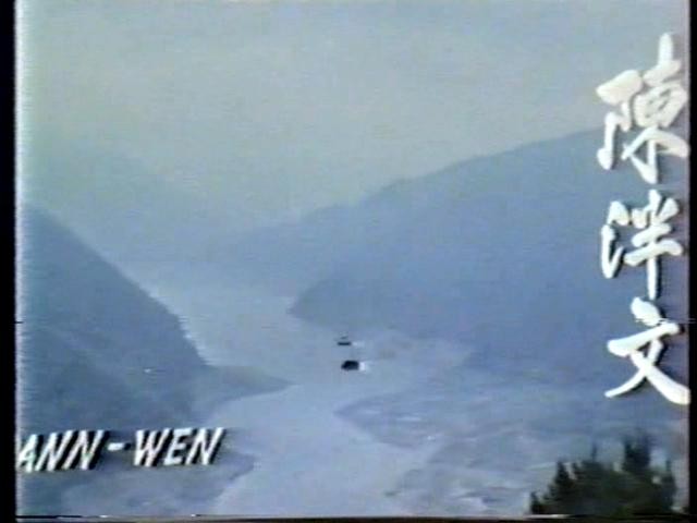 Wild Bunch Of Kung Fu Fotoğrafı