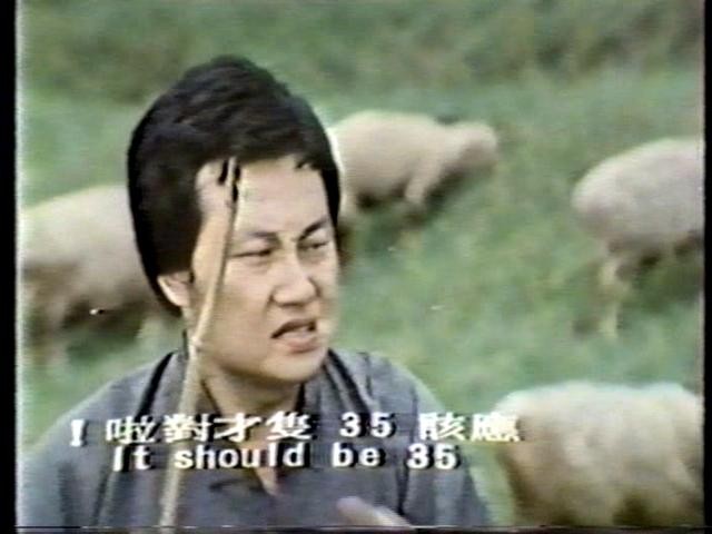 Wild Bunch Of Kung Fu Fotoğrafı