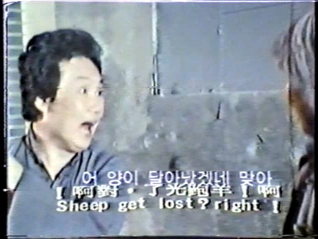 Wild Bunch Of Kung Fu Fotoğrafı