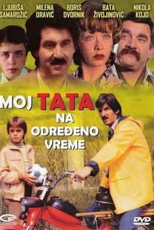 Moj Tata Na Odredjeno Vreme (1982) afişi