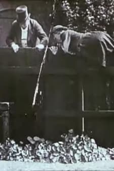 Our New Errand Boy (1905) afişi