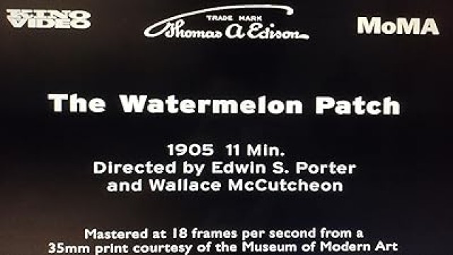 Watermelon Patch (1905) afişi