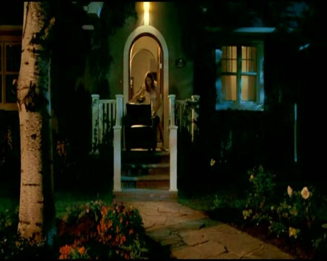 Dönüş Sezonu Fotoğrafı