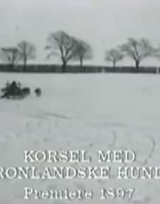 Kørsel Med Grønlandske Hunde (1897) afişi