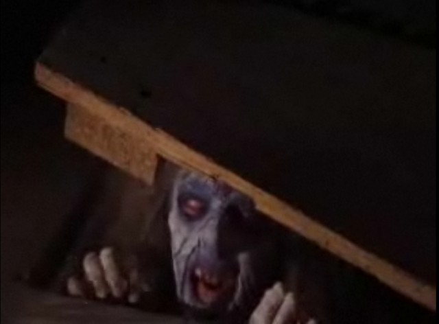 Şeytanın Ölüsü Fotoğrafı