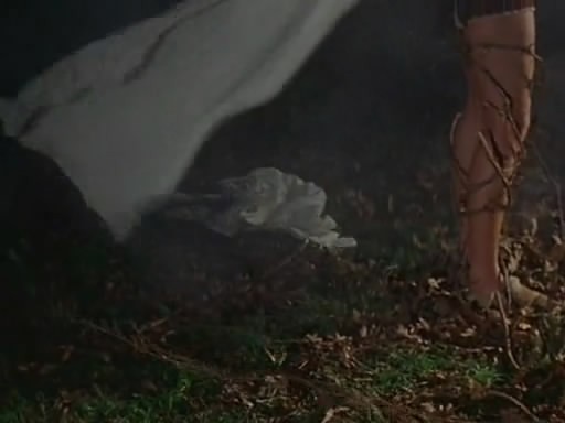 Şeytanın Ölüsü fotoğrafı