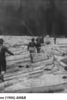 Logging in Maine (1906) afişi