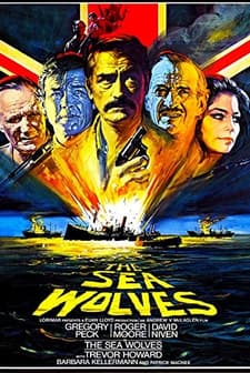 Deniz Kurtları (1980) afişi