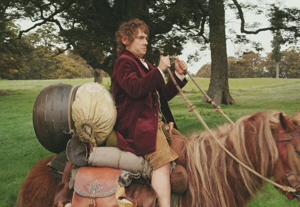 Hobbit: Beklenmedik Yolculuk Fotoğrafı