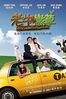 Old Cow Vs Tender Grass (2010) afişi