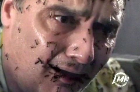 Karınca Dehşeti Fotoğrafı