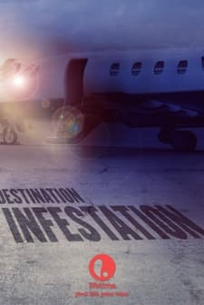 Karınca Dehşeti (2007) afişi