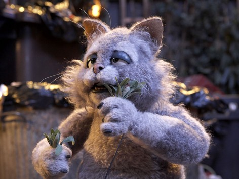 Mongrels Fotoğrafı