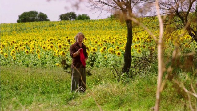 Al Yazmalım Fotoğrafı