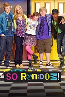 So Random (2011) afişi