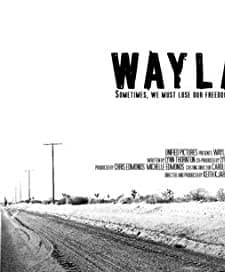 Waylaid (2007) afişi