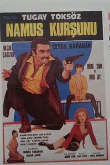 Namus (1972) afişi