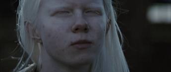 Maskeblomstfamilien Fotoğrafı