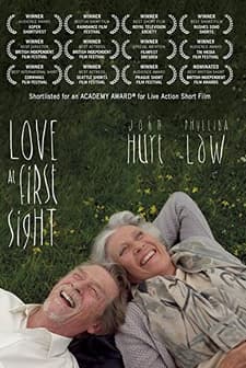 Love At First Sight (2010) afişi