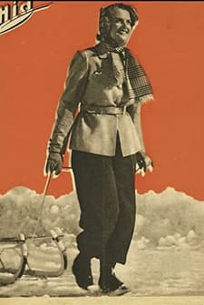 Havasi Napsütés (1941) afişi