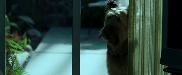 Kiss Kiss Bang Bang Fotoğrafı