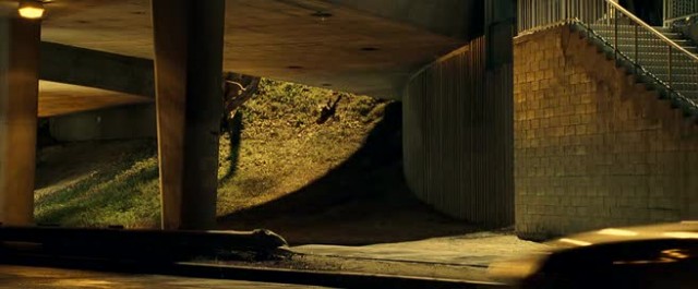 Kiss Kiss Bang Bang Fotoğrafı