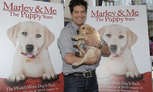 Marley ve Ben: Gençlik Yılları Fotoğrafı