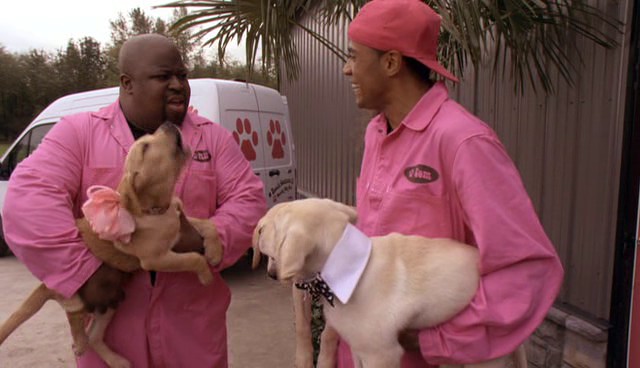 Marley ve Ben: Gençlik Yılları Fotoğrafı