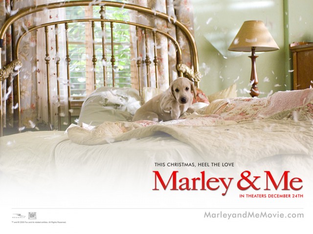 Marley ve Ben: Gençlik Yılları fotoğrafı