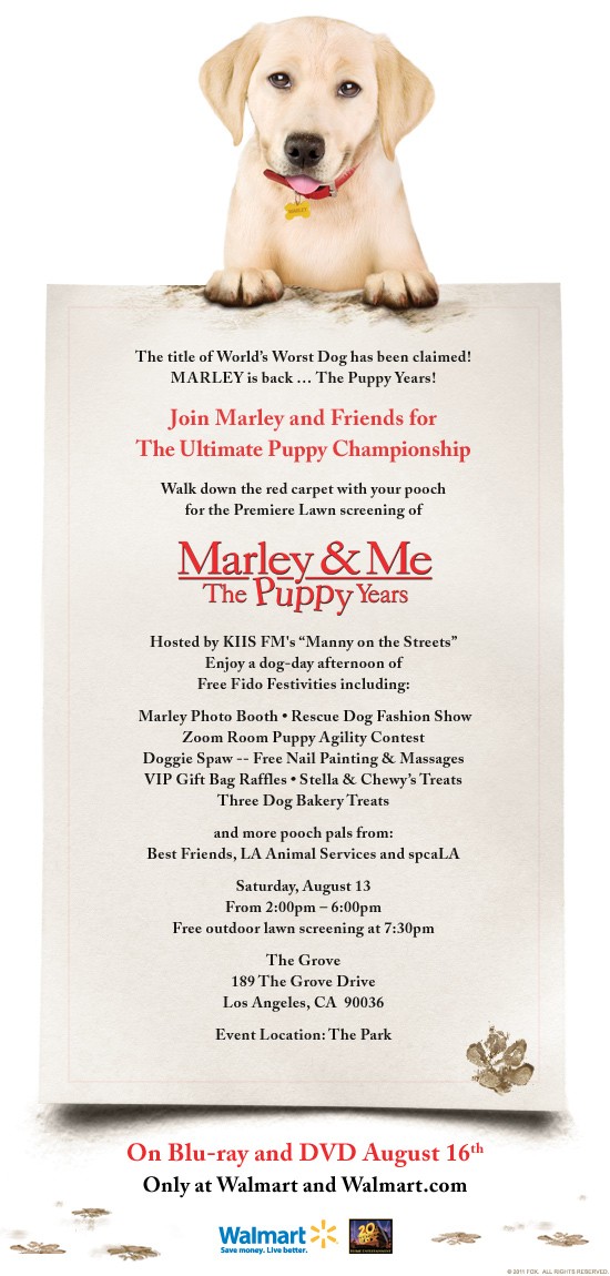 Marley ve Ben: Gençlik Yılları Fotoğrafı